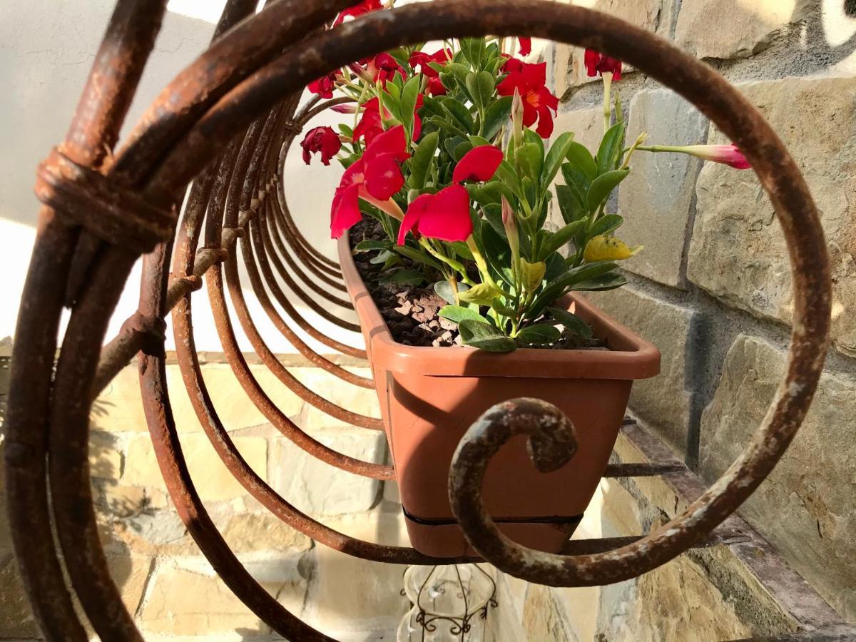 Borgo Manca Suite Sasso di Castalda Ngoại thất bức ảnh